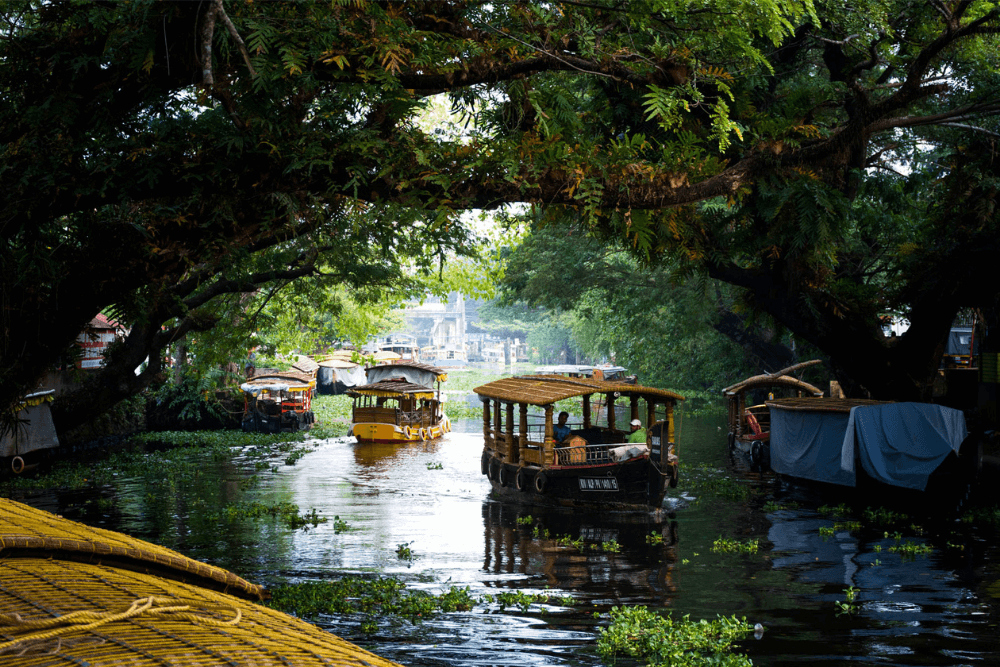 Discover Alleppey: The Ultimate Backwater Paradise for Peaceful Retreats and Scenic Beauty