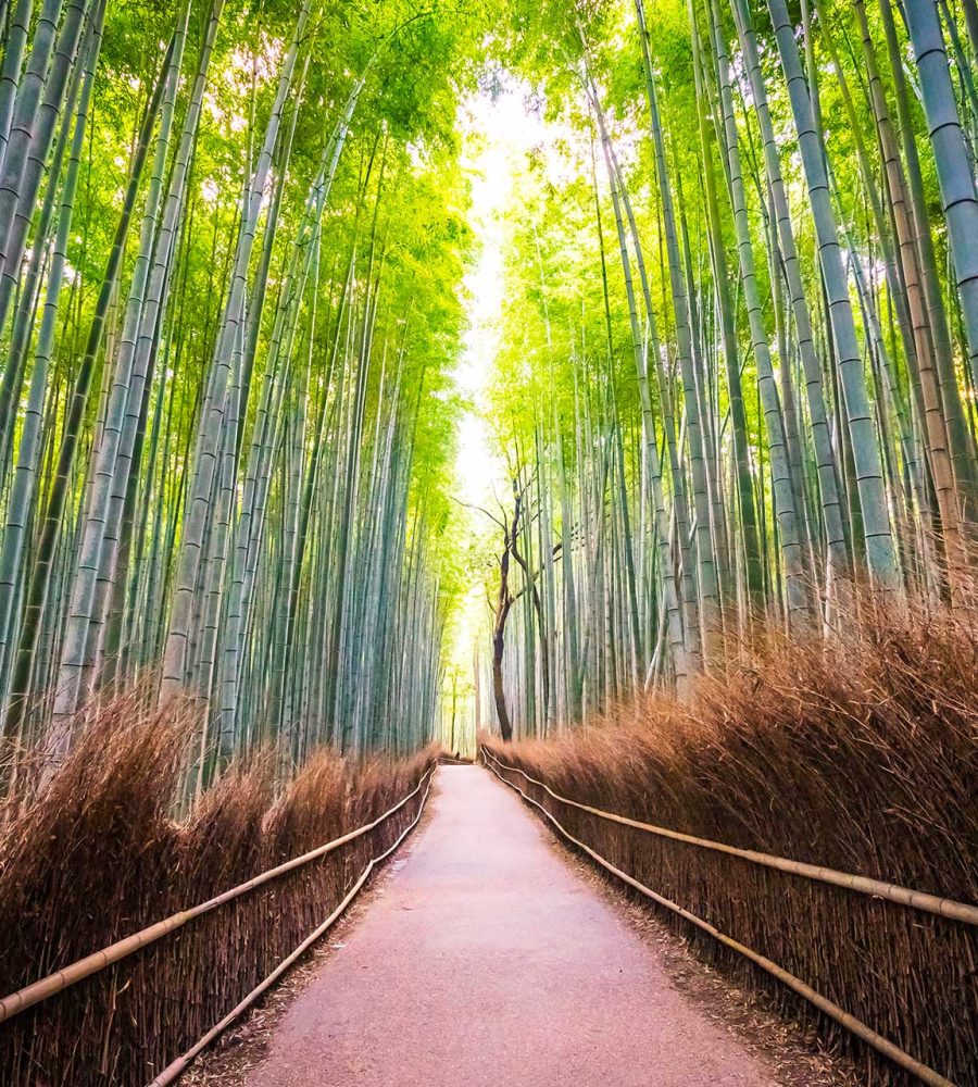 i-parallax-03-package-01